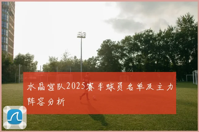 水晶宫队2025赛季球员名单及主力阵容分析