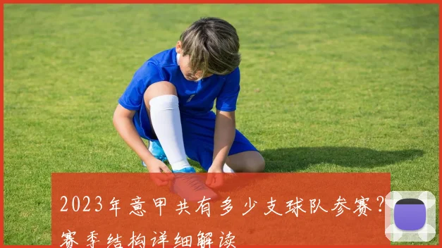 2023年意甲共有多少支球队参赛？赛季结构详细解读