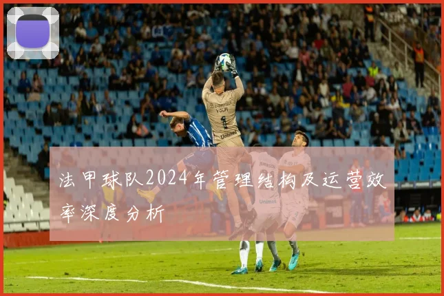 法甲球队2024年管理结构及运营效率深度分析