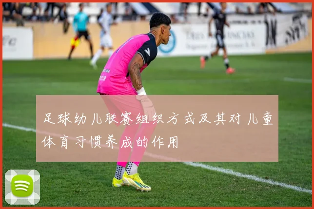 足球幼儿联赛组织方式及其对儿童体育习惯养成的作用